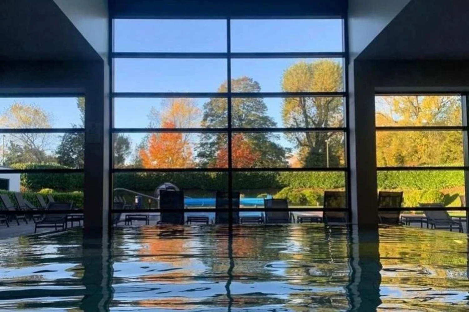 Search Result (Slide 6)