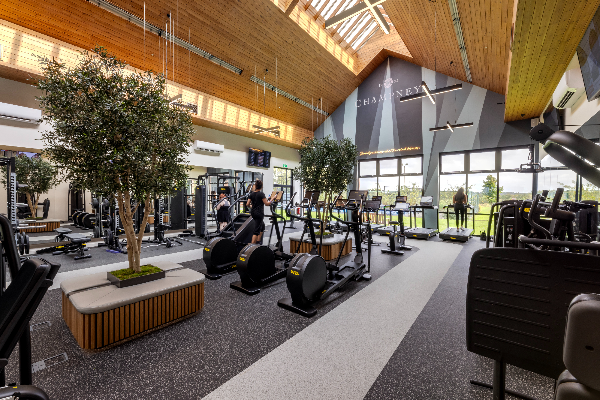 Springs   Gym 2