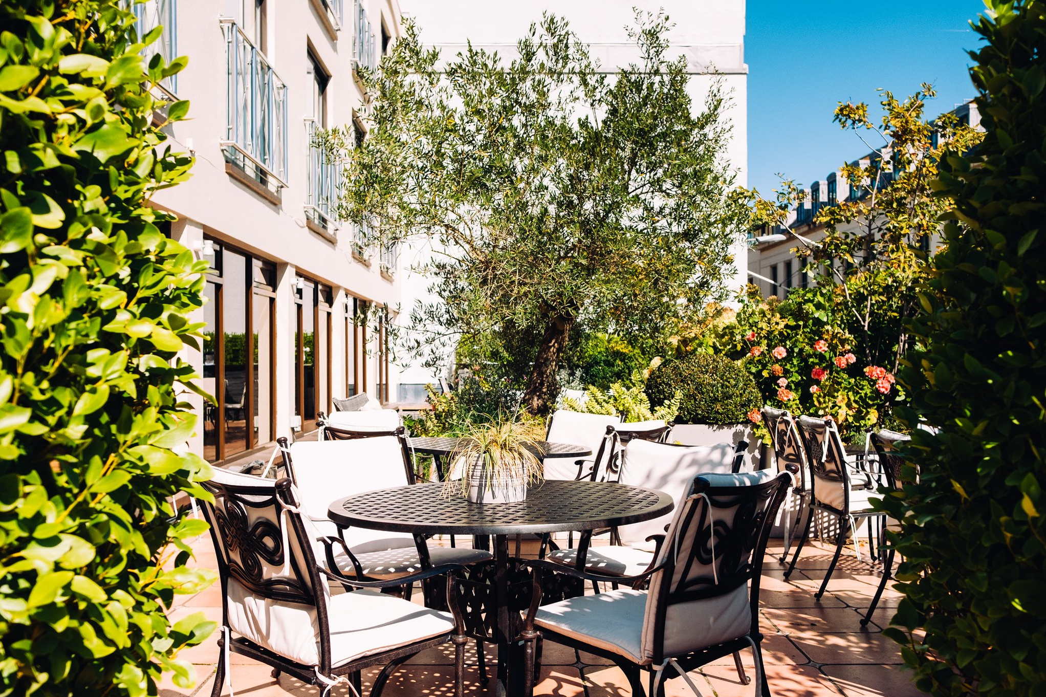 Search Result (Slide 7)