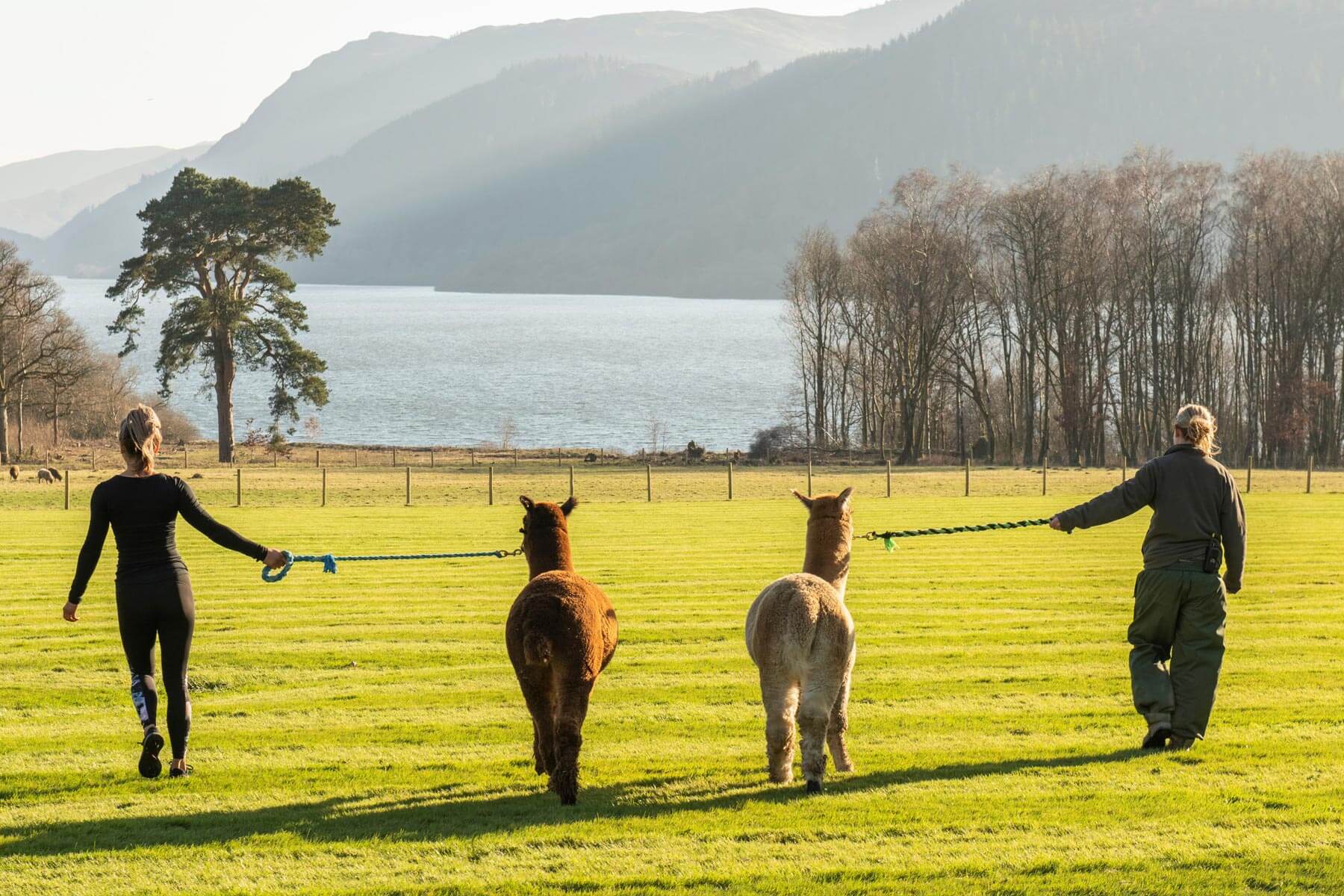 Armathwaite Hall Hotel And Spa 16