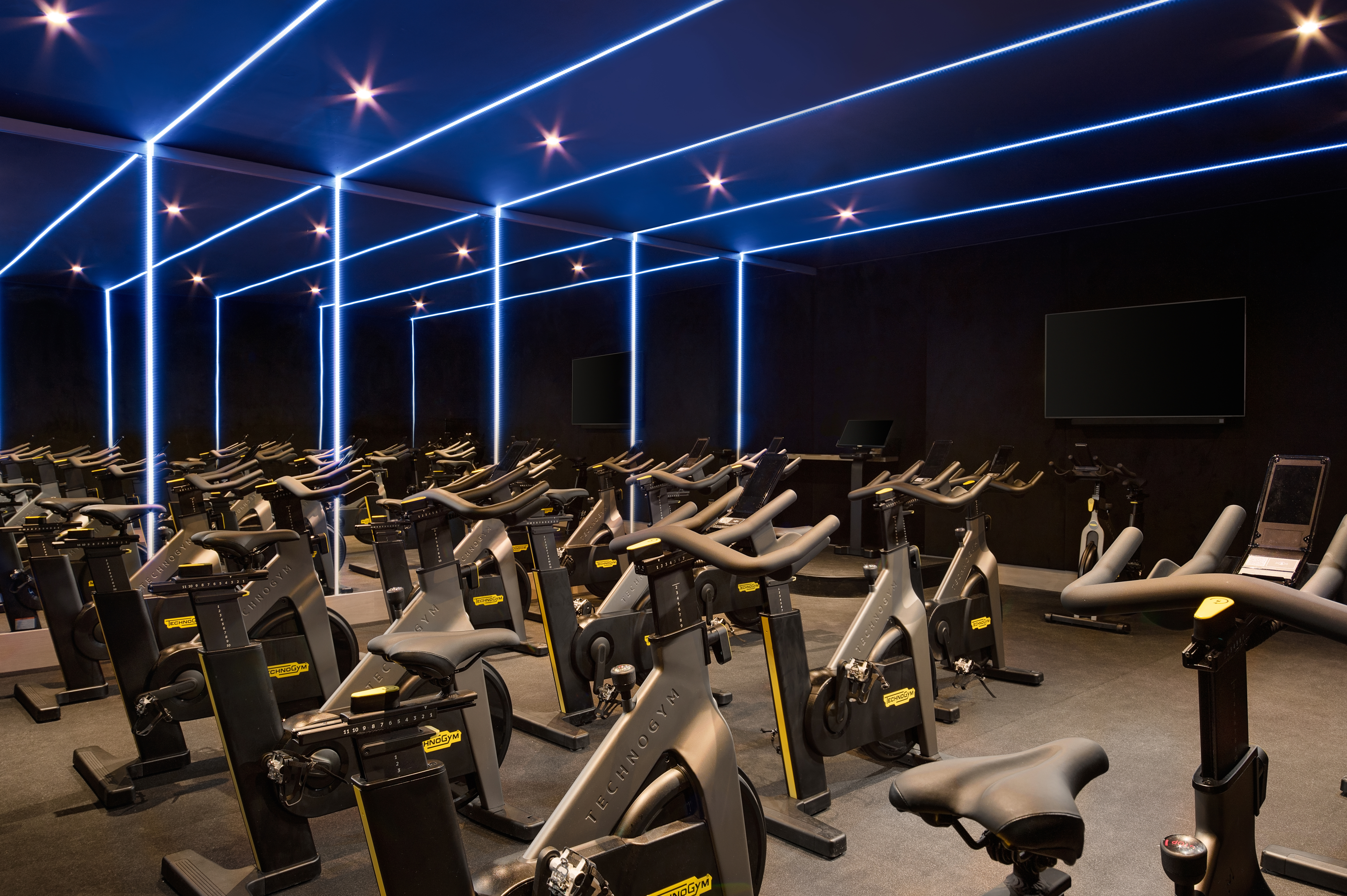 Fairmont Windsor Park   Gym 