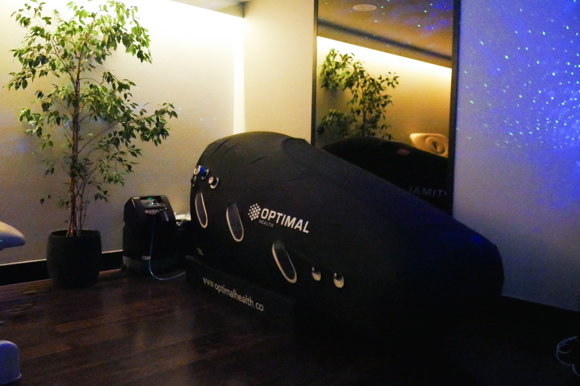 Search Result (Slide 4)