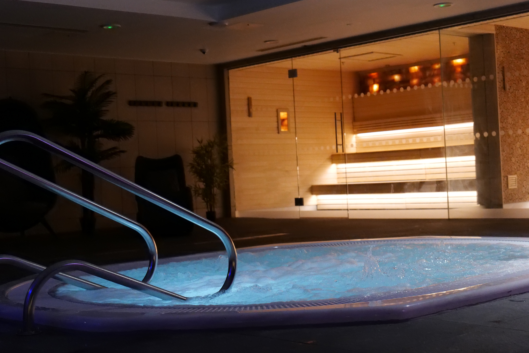 The Cove   Pool And Sauna