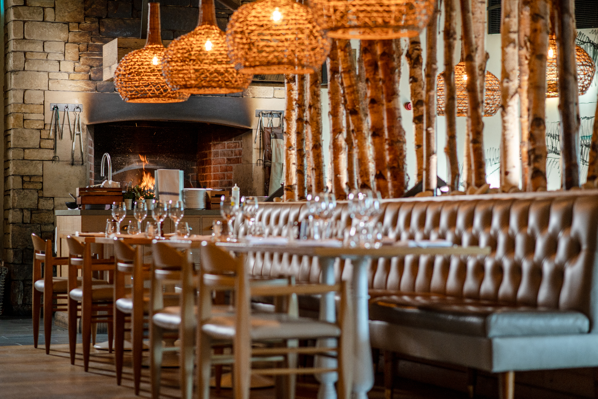 Search Result (Slide 6)