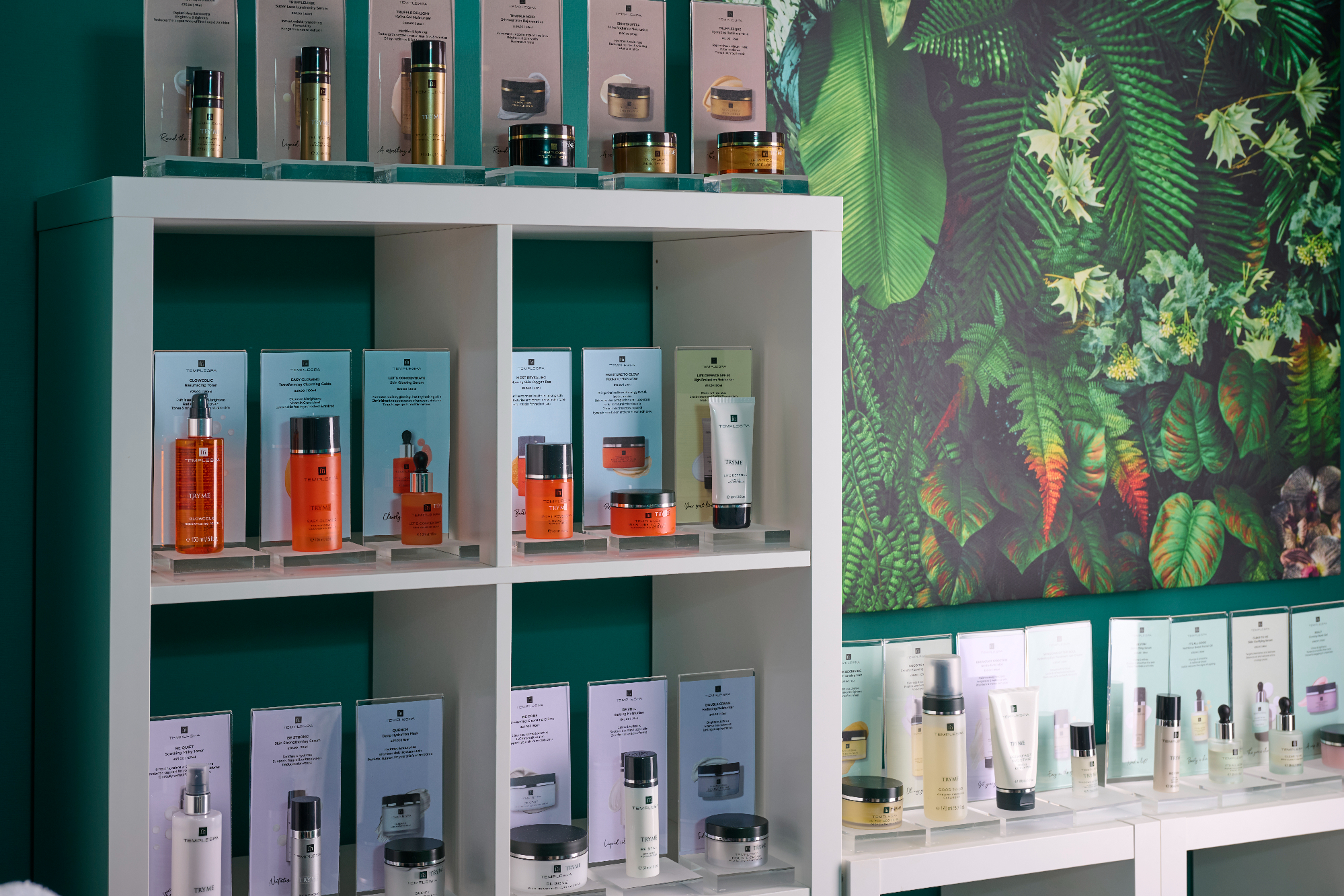 Search Result (Slide 6)