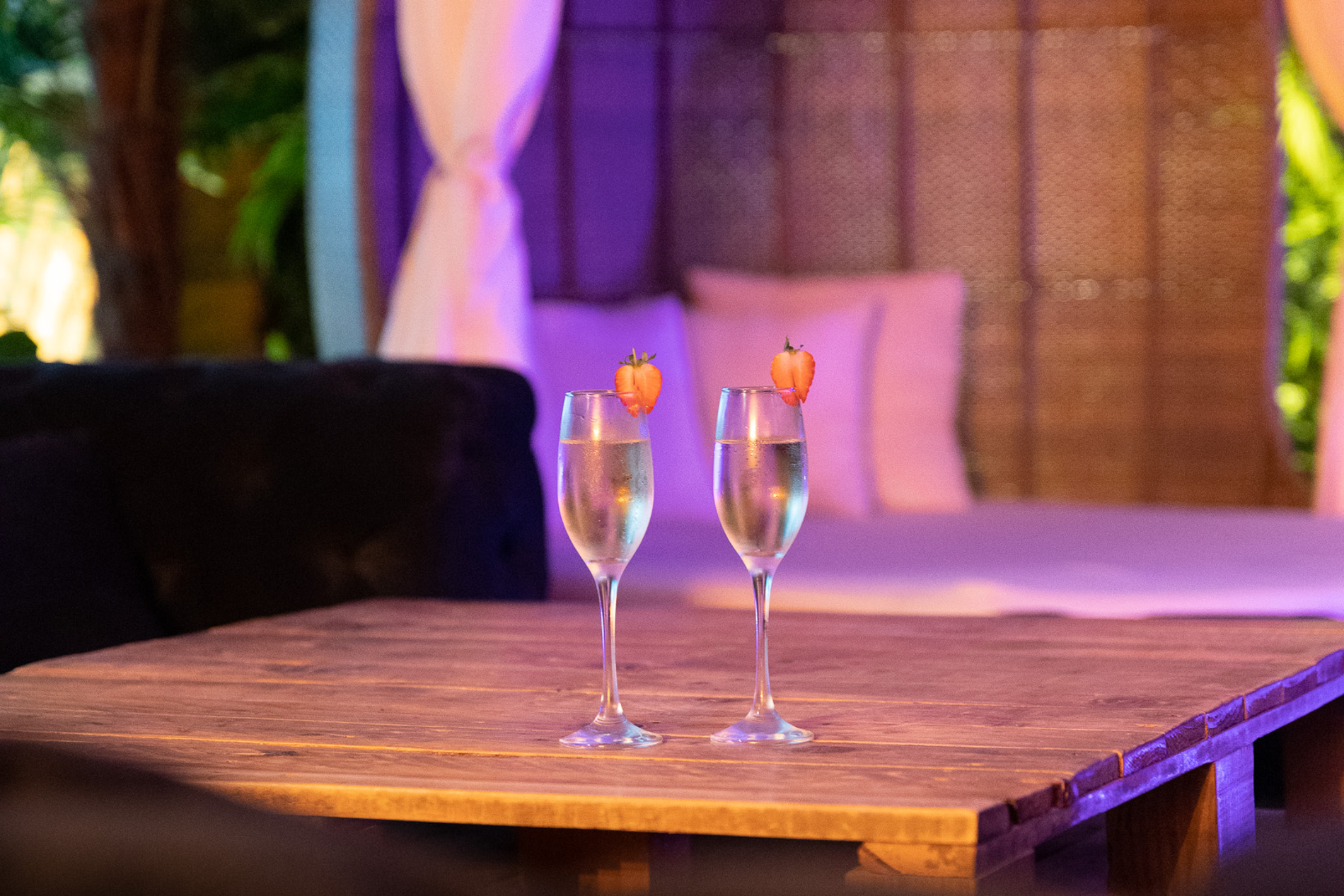 Search Result (Slide 6)