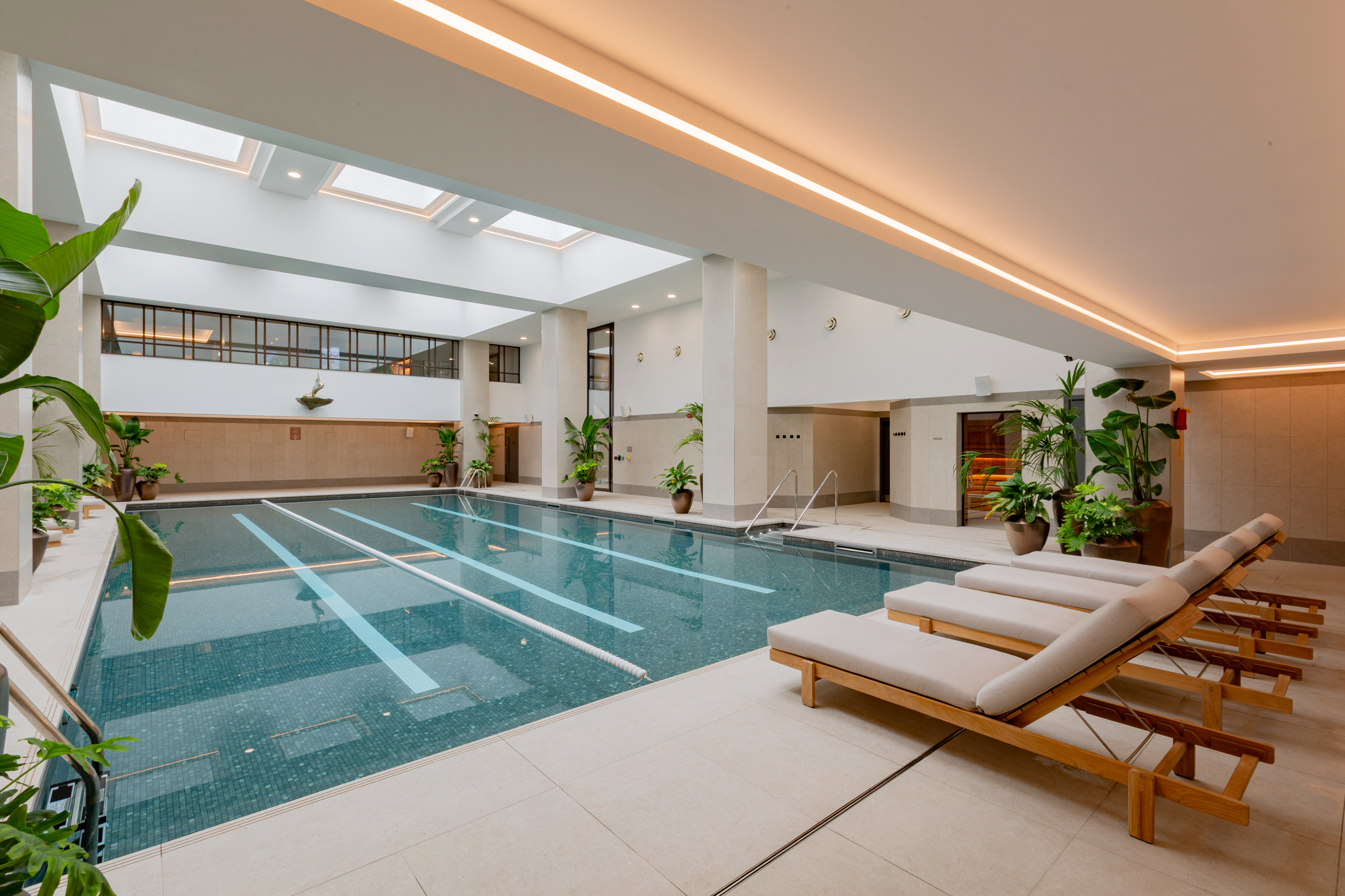 Dolphin House   Pool 4