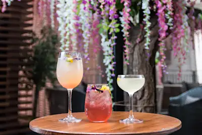 The May Fair, A Radisson Collection Hotel