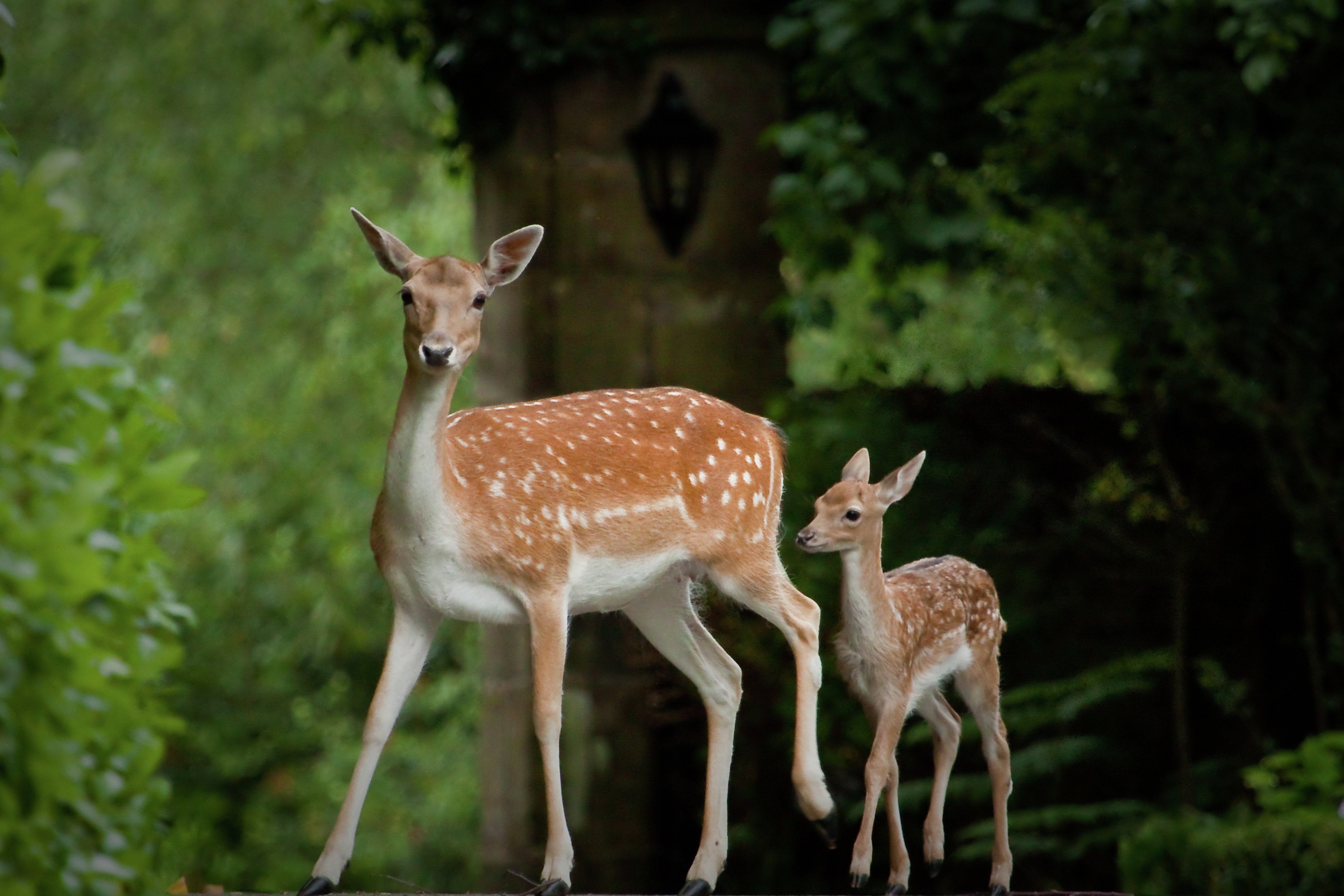 Vb2221542 29.06.2010