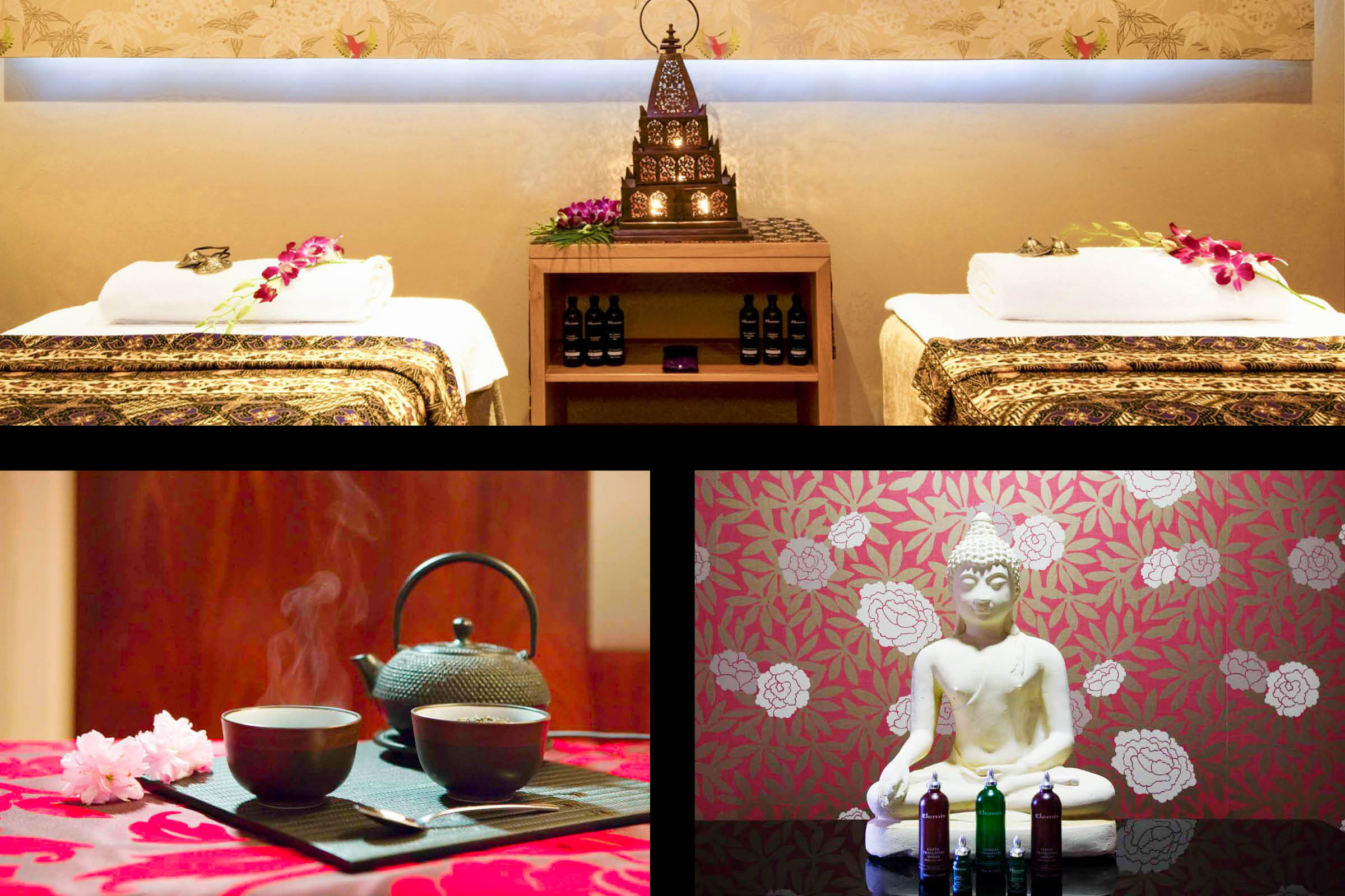 Search Result (Slide 7)