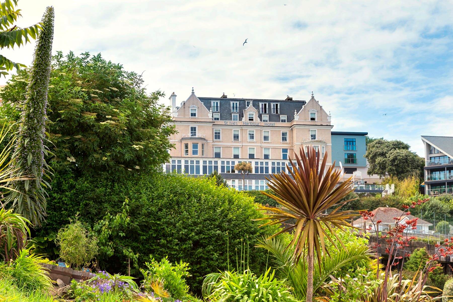 Search Result (Slide 7)