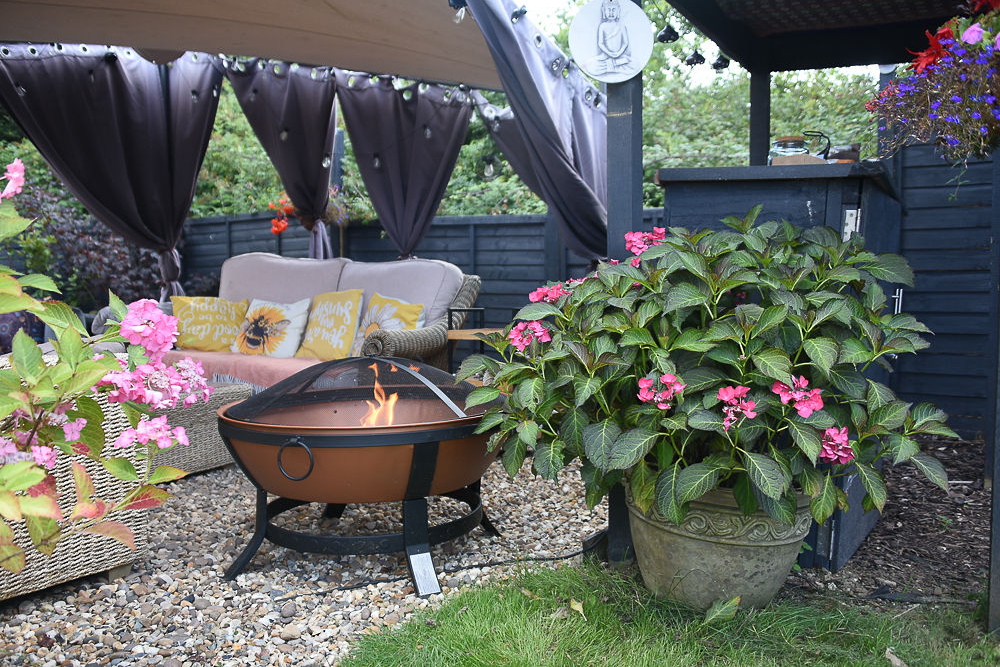 Natural Light   Garden