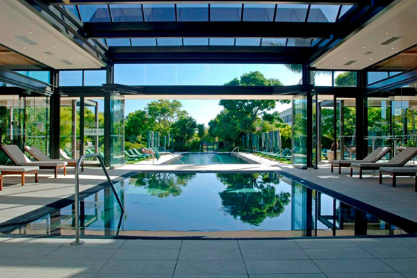 Safari Spa vineyard 2