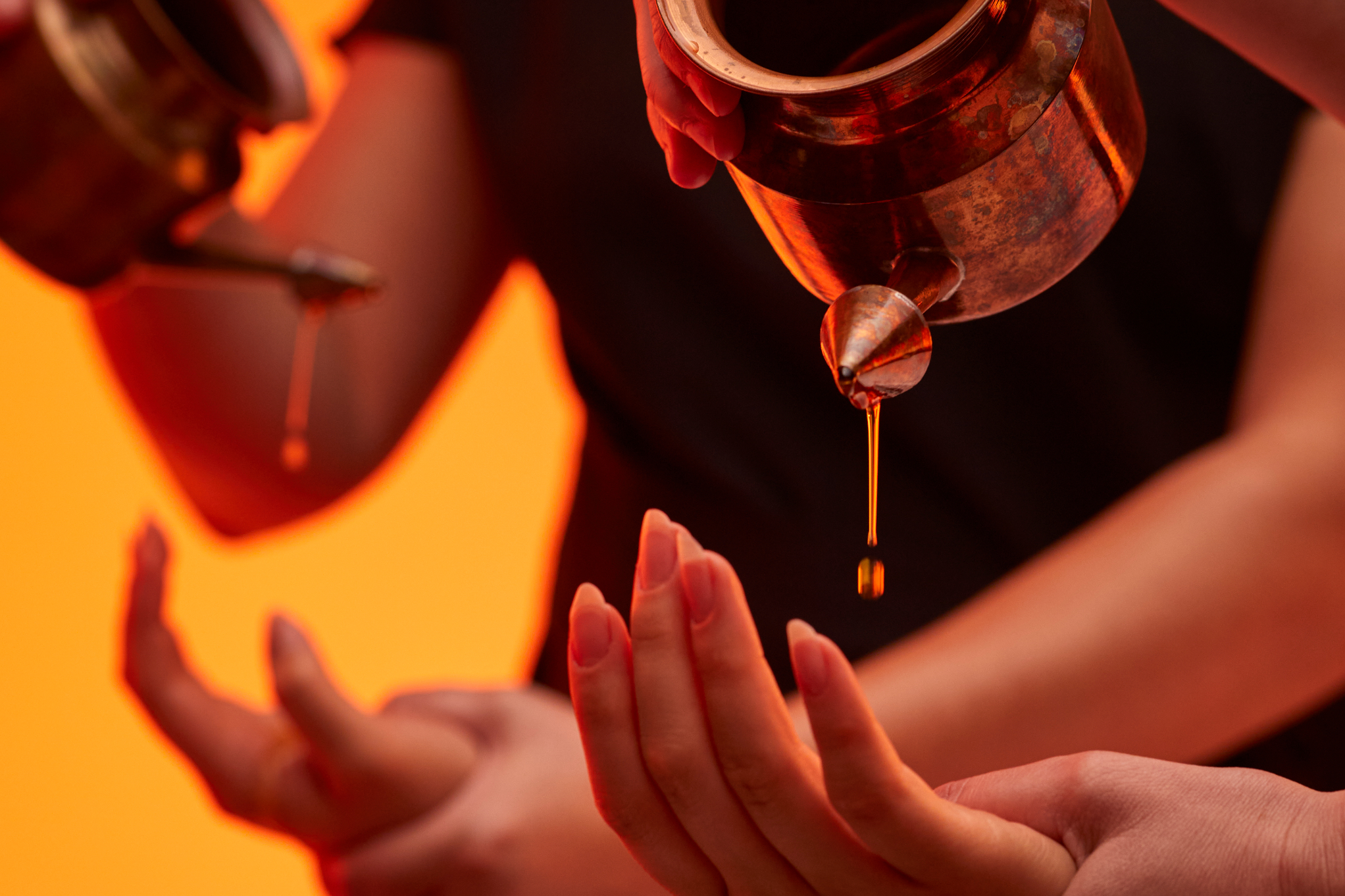 Search Result (Slide 6)