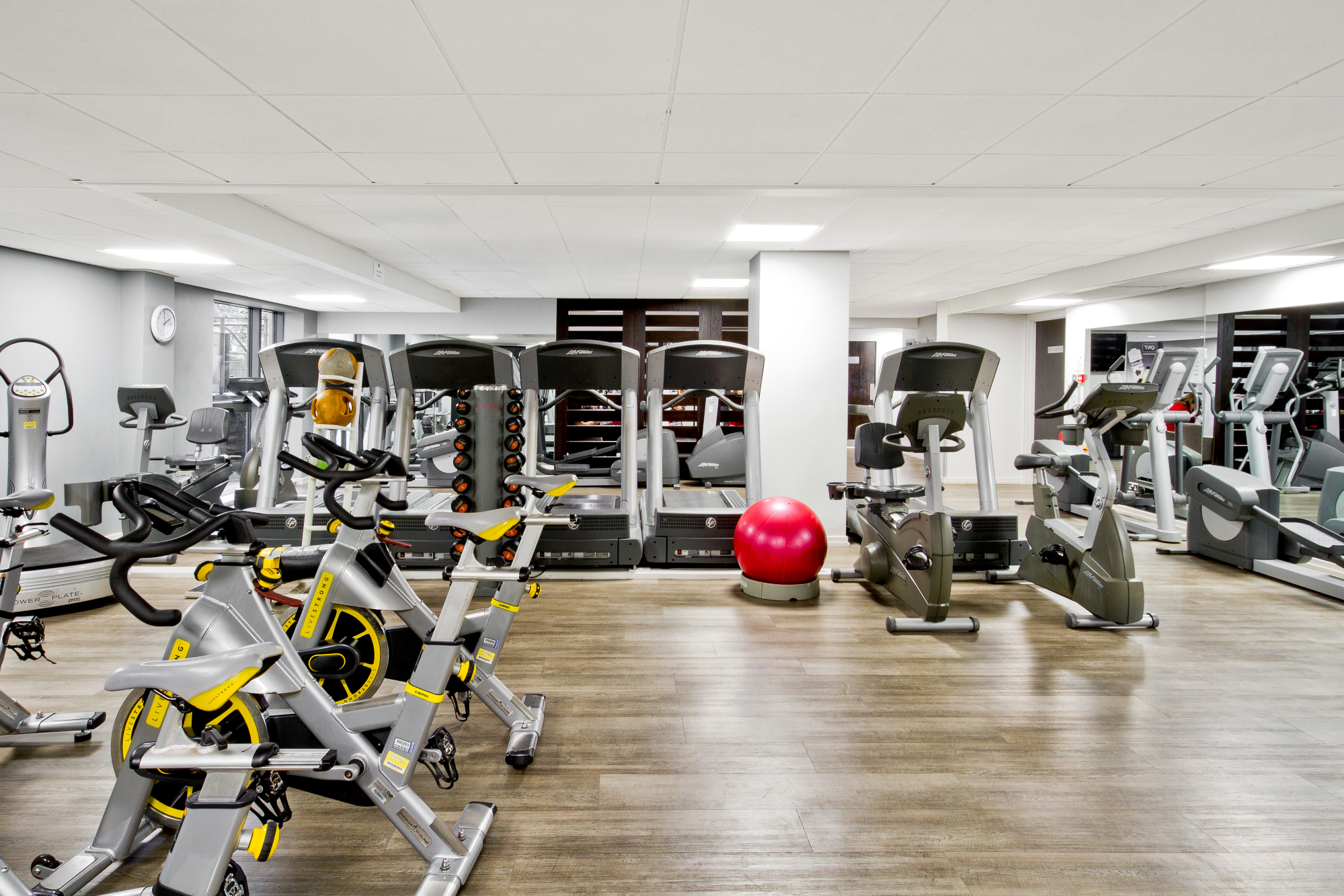 Search Result (Slide 7)