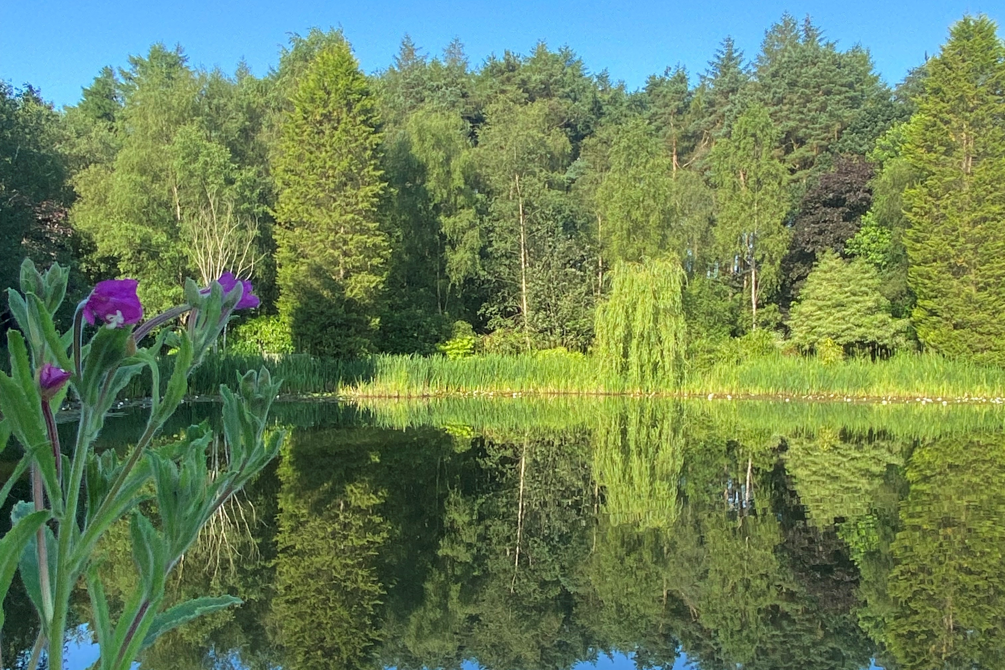 Moddershall Oaks   Private Lake And Woodlands