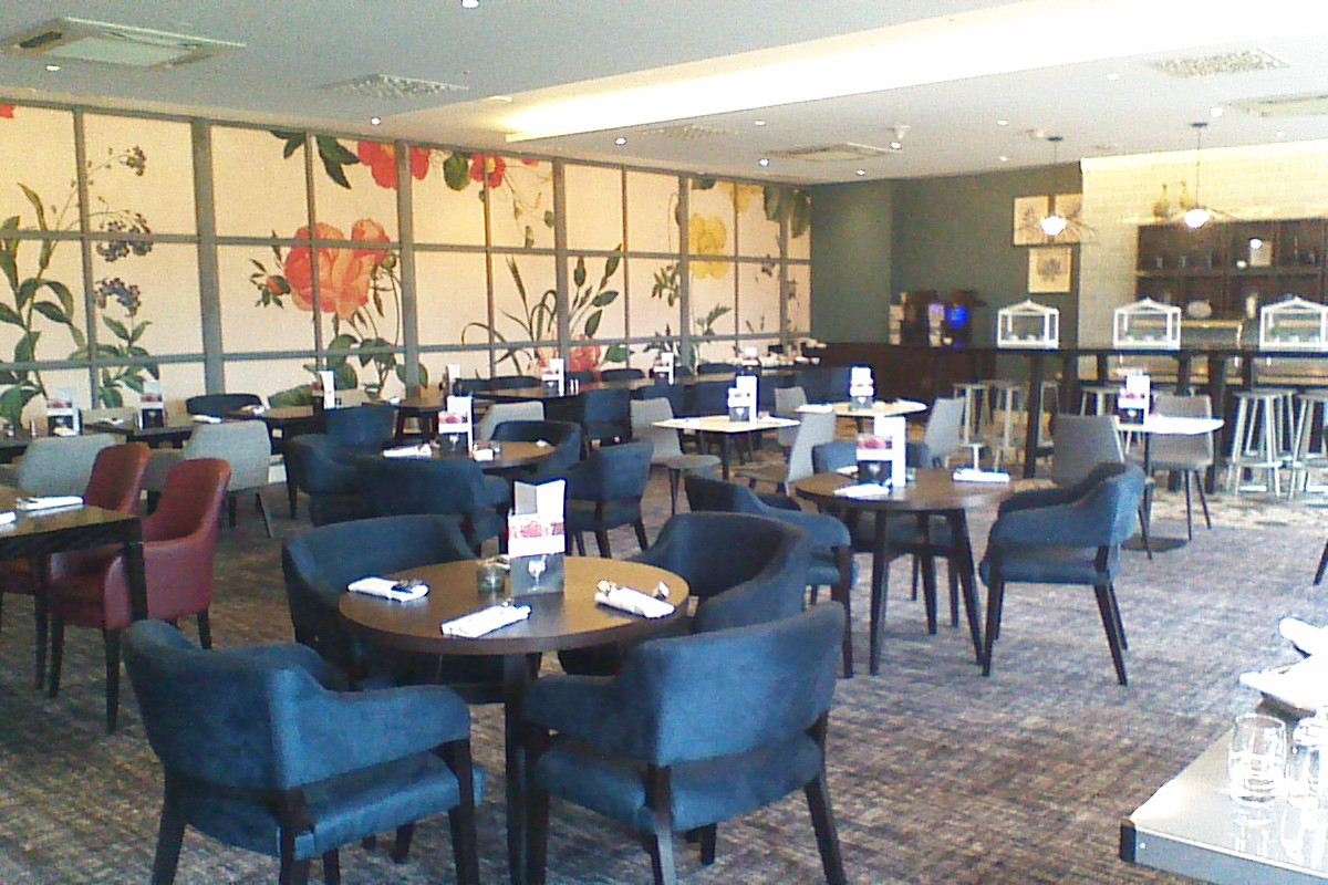 Search Result (Slide 5)