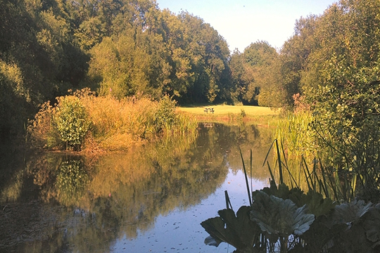 Home Place Spa And Cottages 9