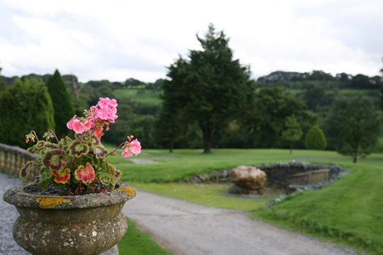 Search Result (Slide 7)