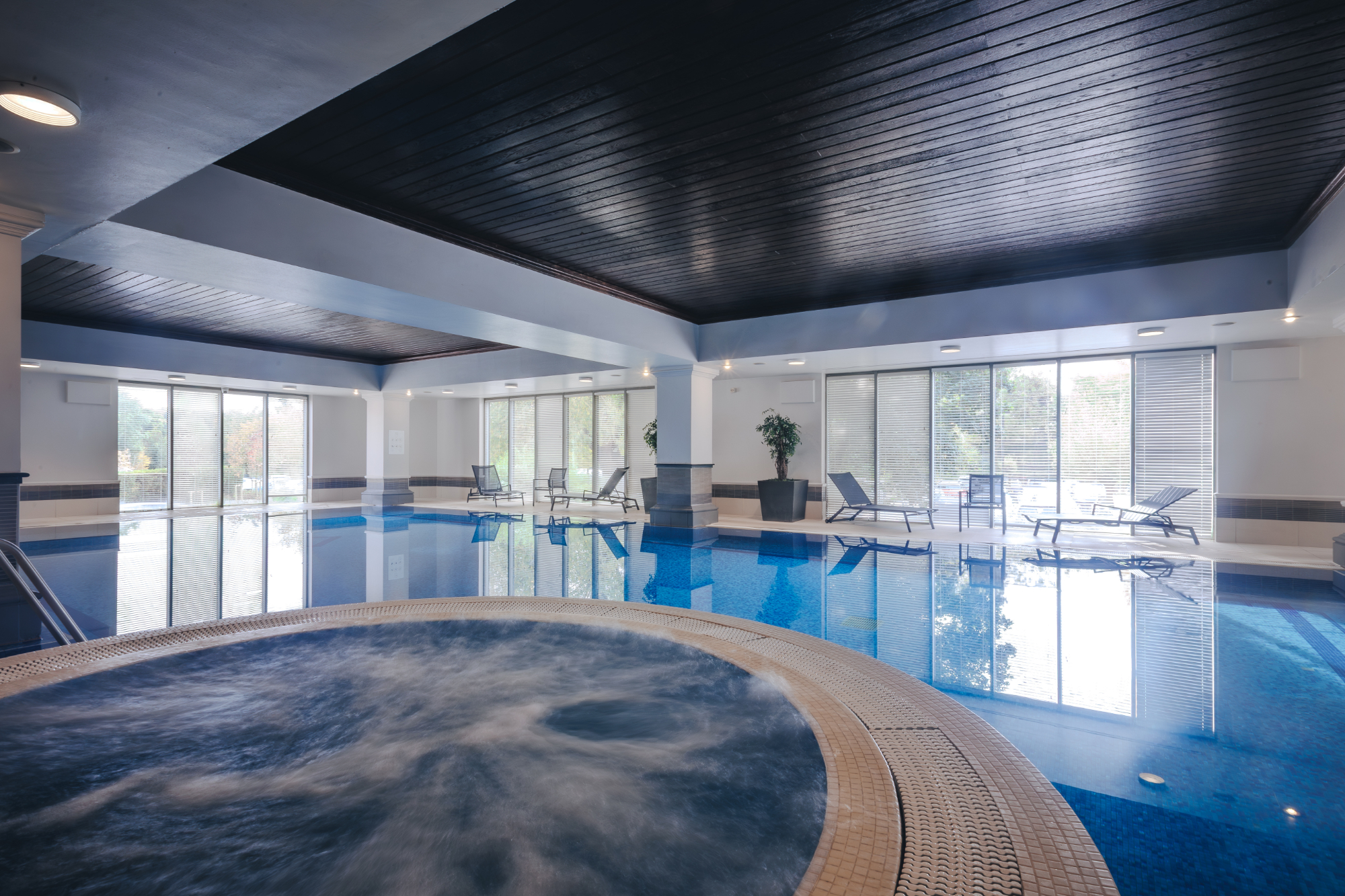 Search Result (Slide 2)