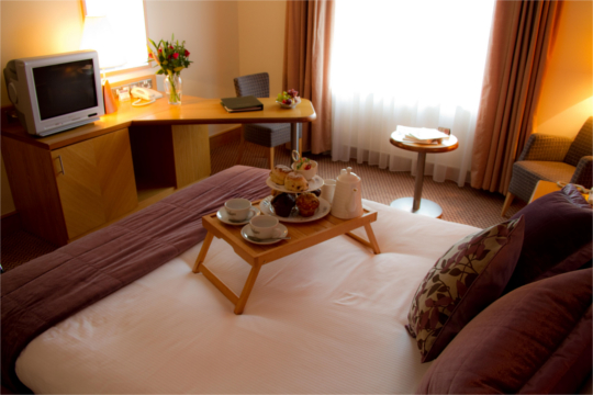 Search Result (Slide 5)