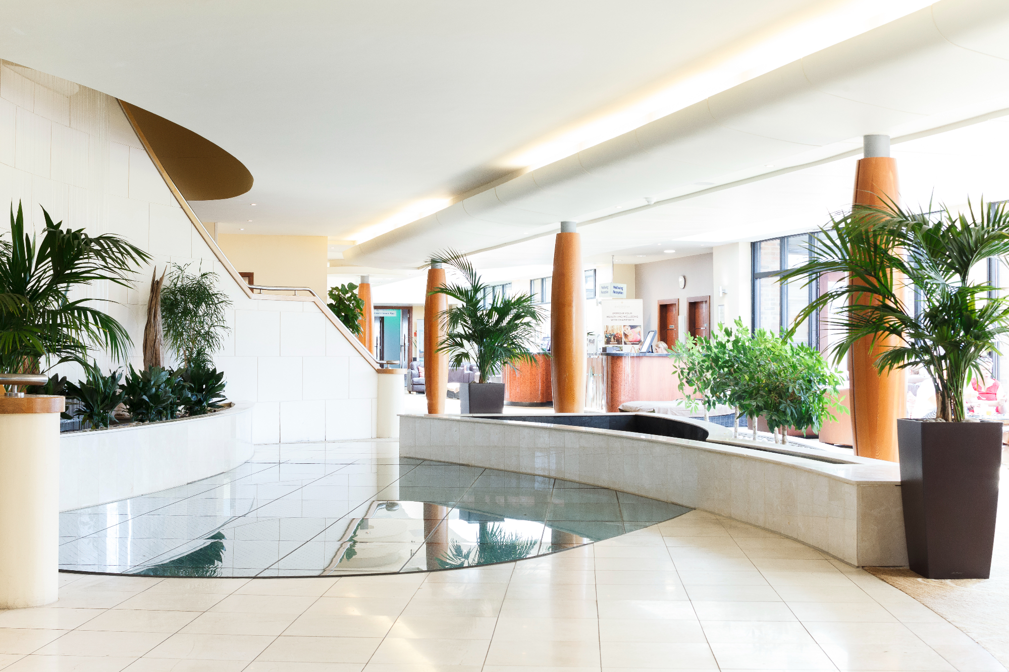 Springs   Lobby