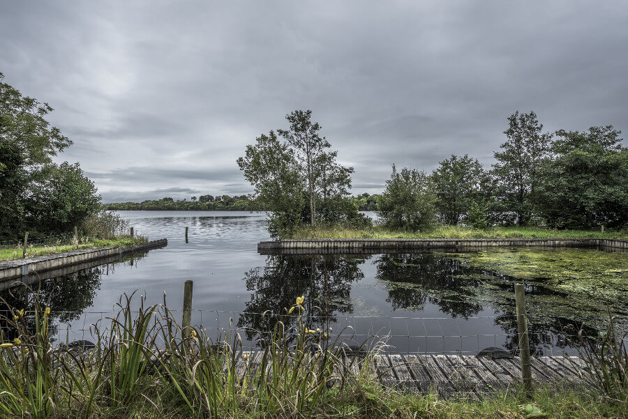 The Elements Trail 13