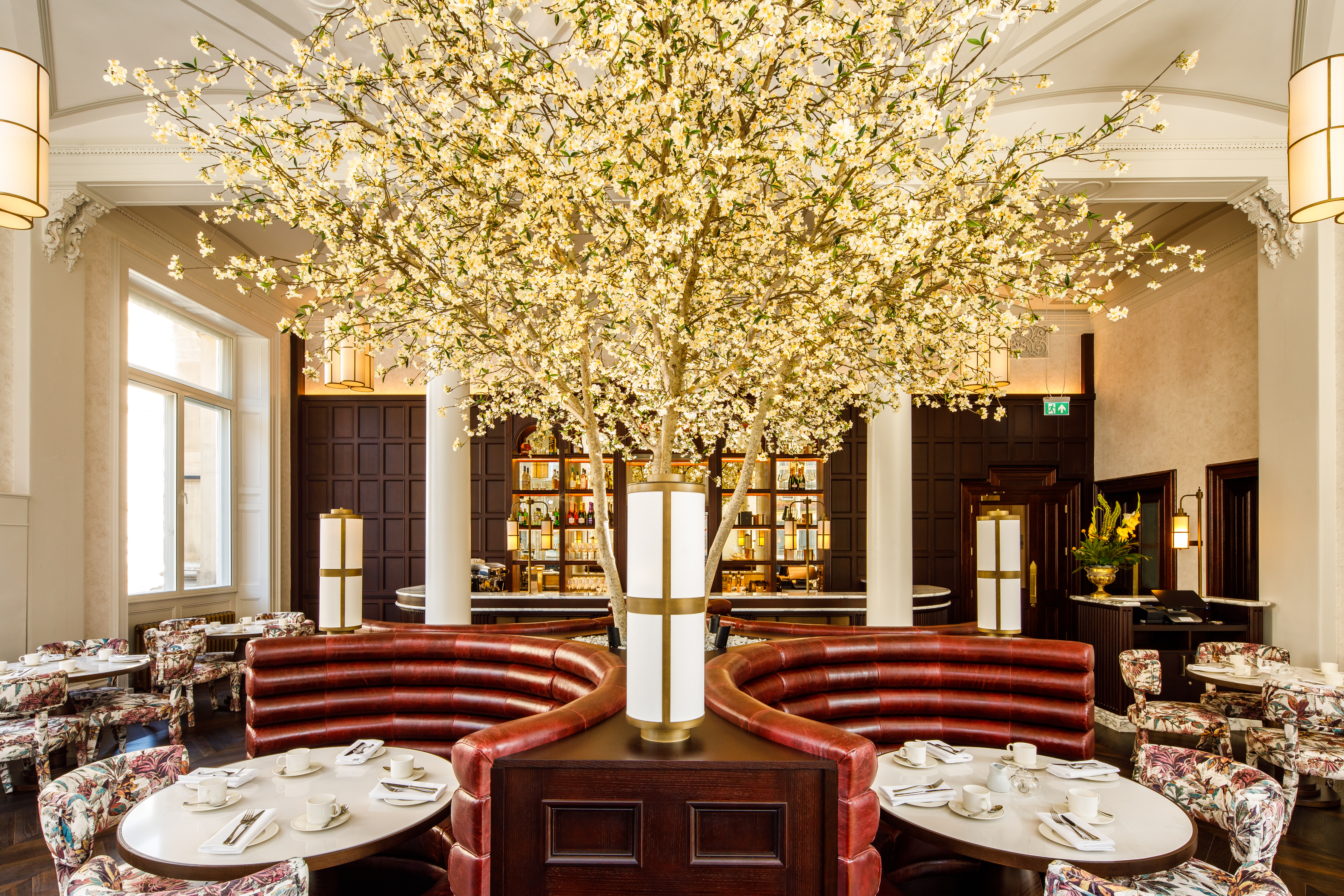 M Gallery   Botanic Tea Room