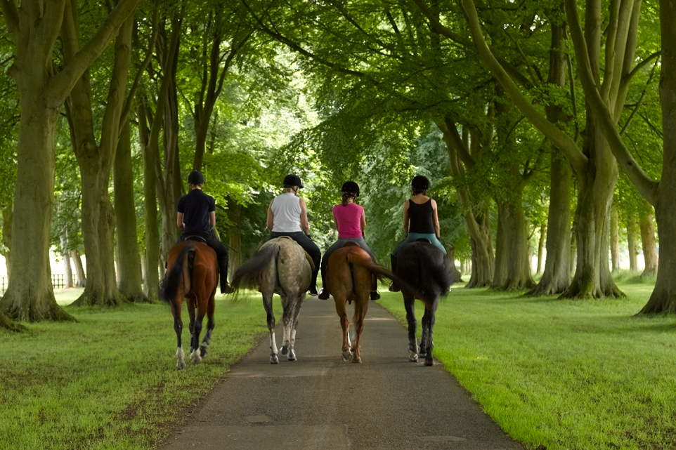 Lucknam Park   Horse Riding 1