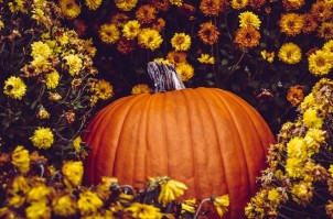 Illuminate Face and Body Glow – the must-try pumpkin spa treatment