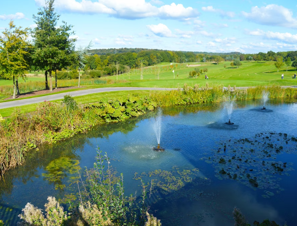 Search Result (Slide 6)