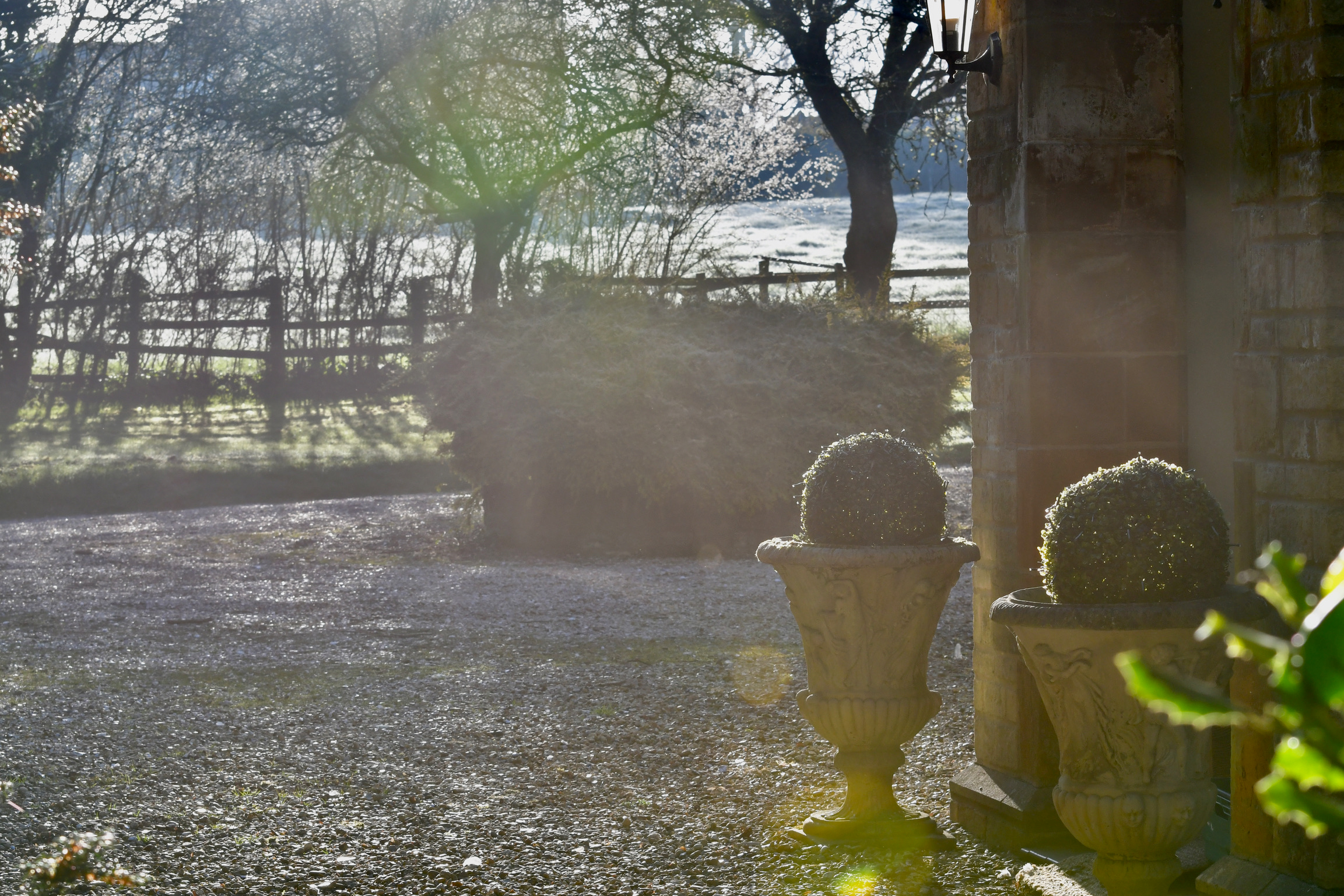 York Cottage Spa   Garden