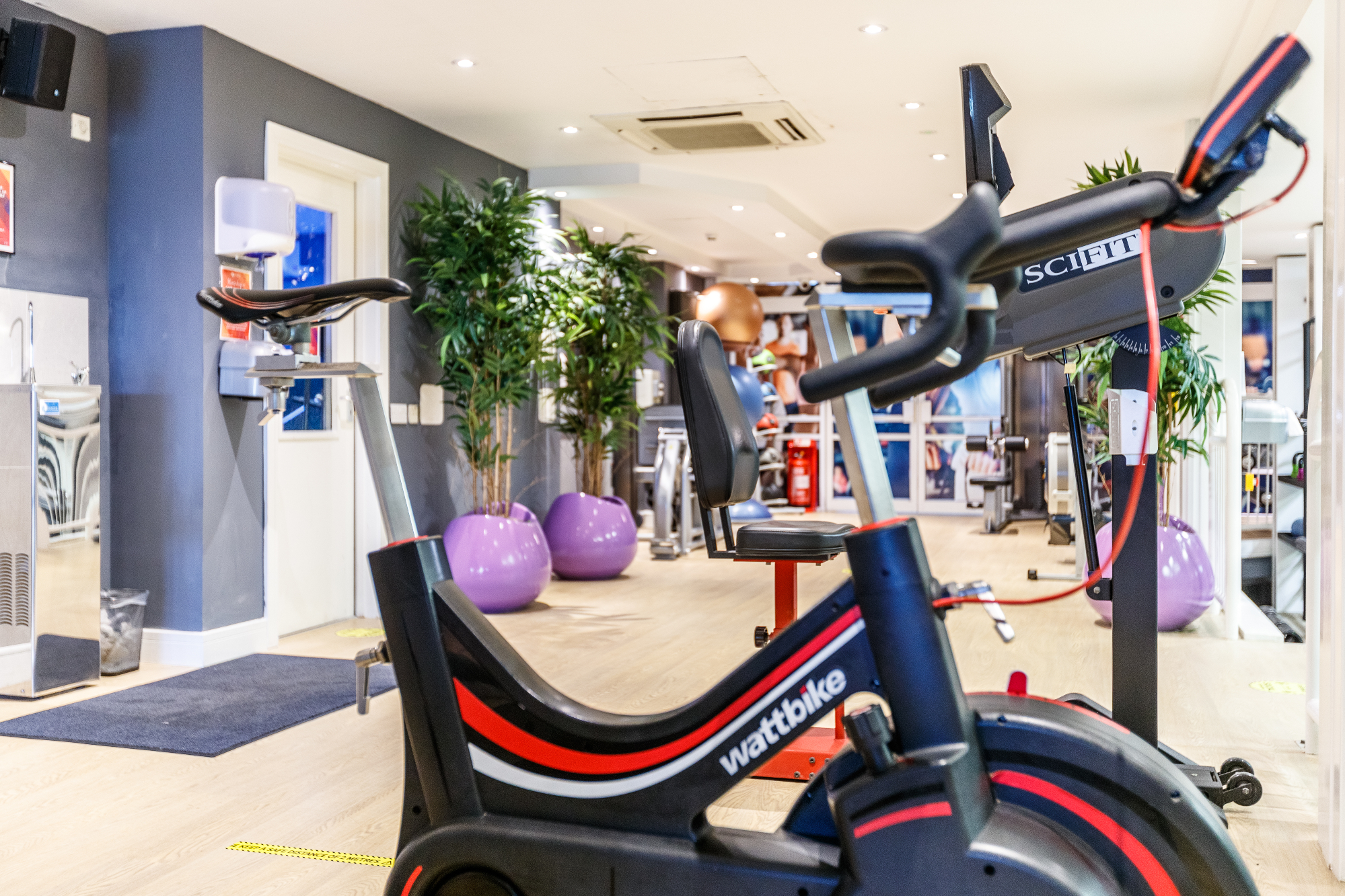 Search Result (Slide 7)