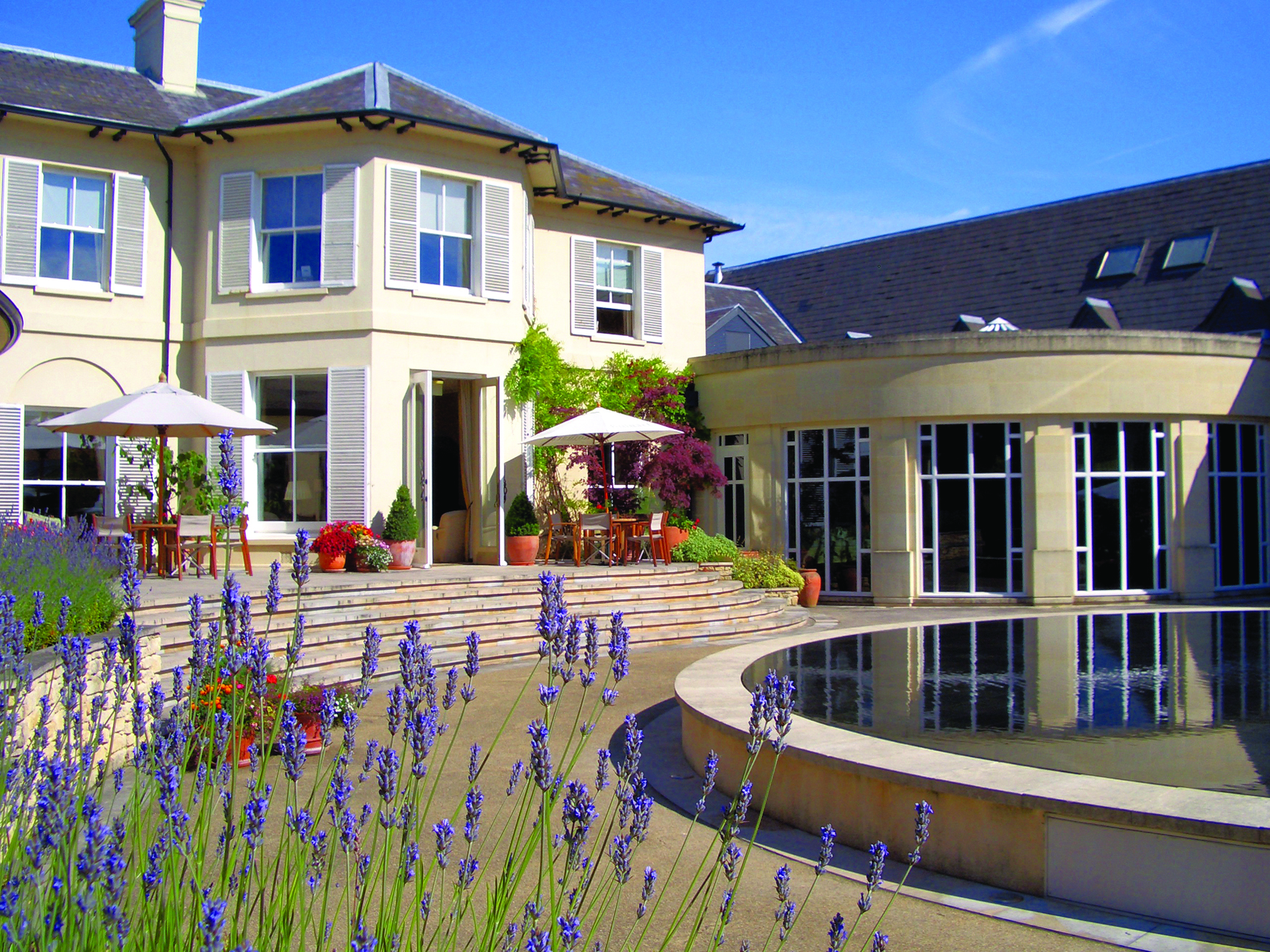 Tvs Exterior Lavender 2