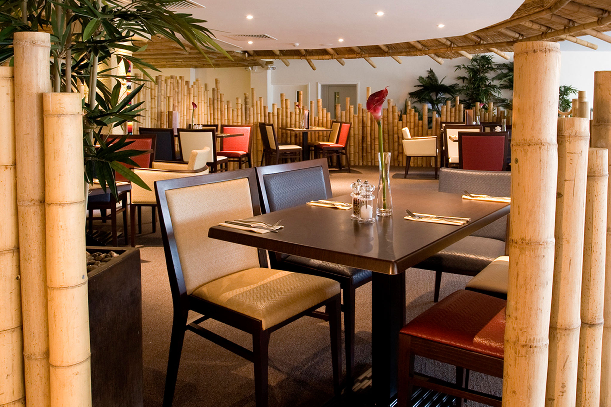 8 Tlh Carlton Hotel & Spa   Restaurant