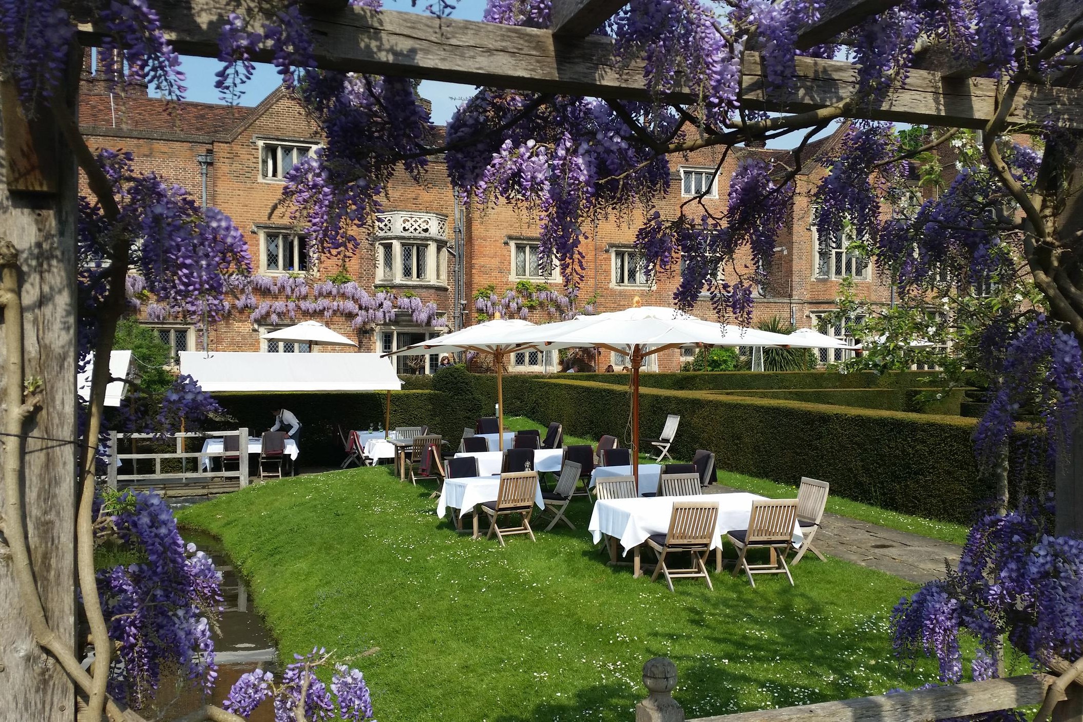 Moat Terrace Through The Wisteria