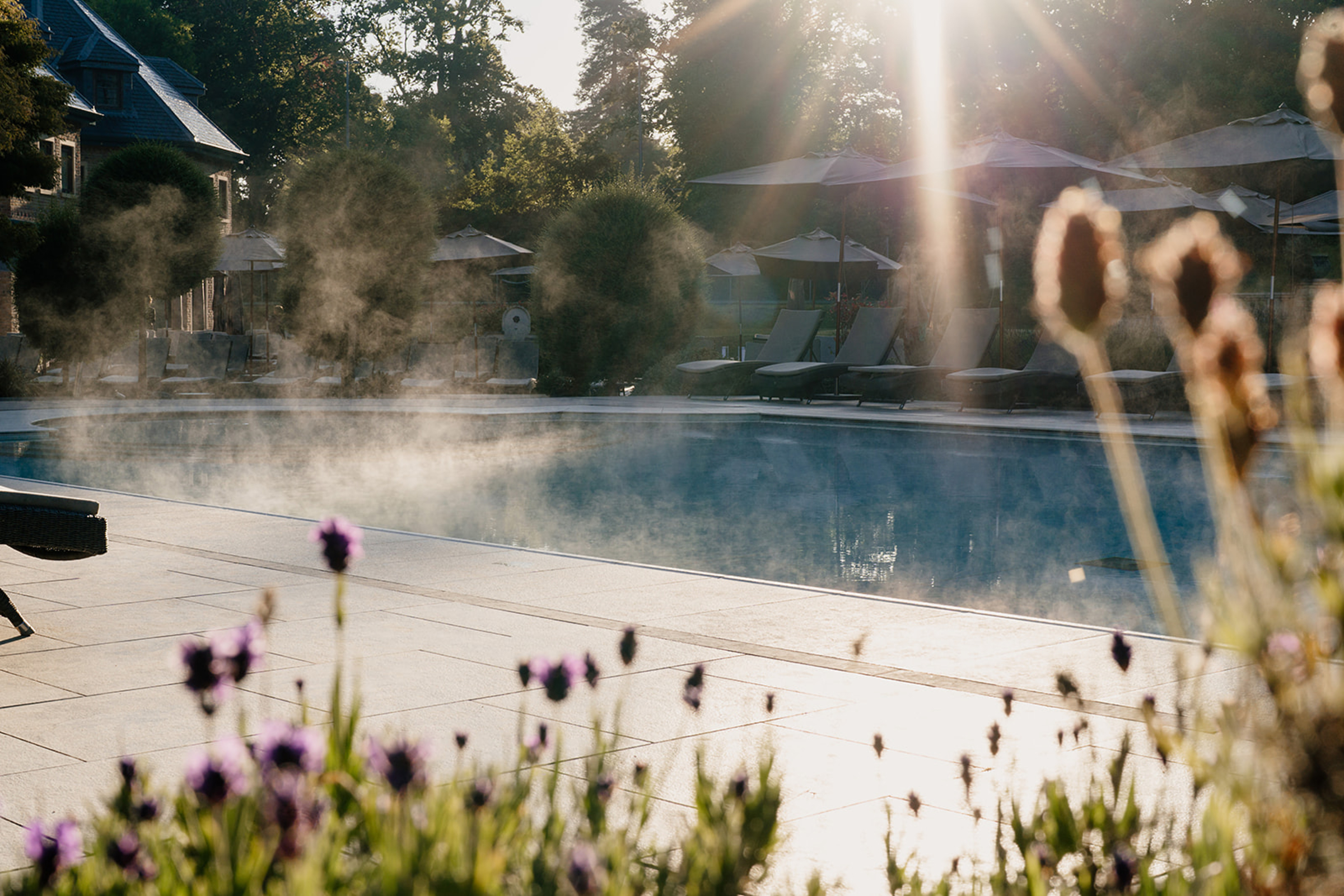 Search Result (Slide 6)