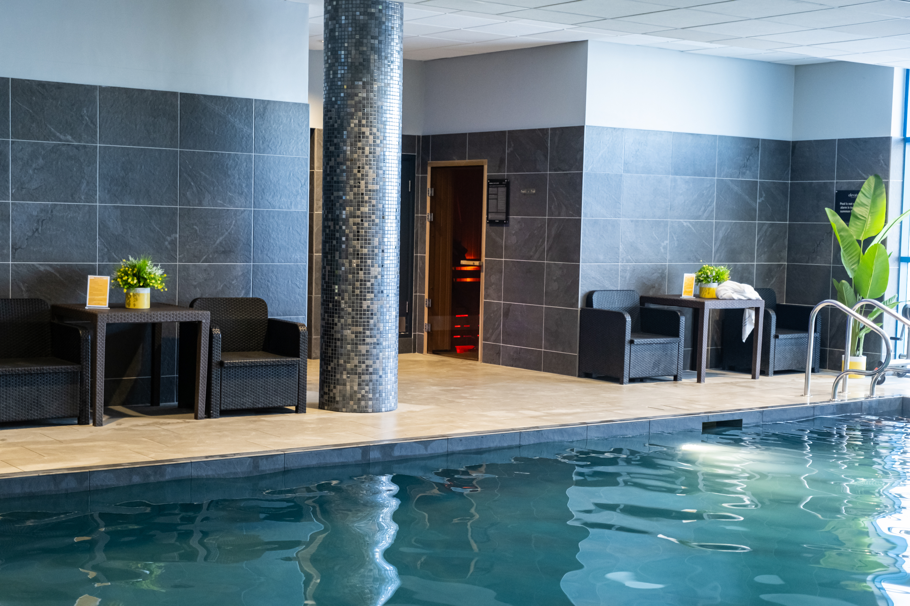 Search Result (Slide 7)