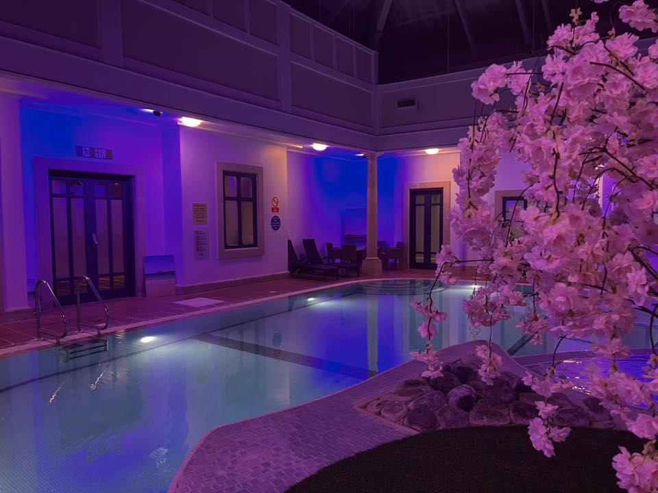 Search Result (Slide 3)