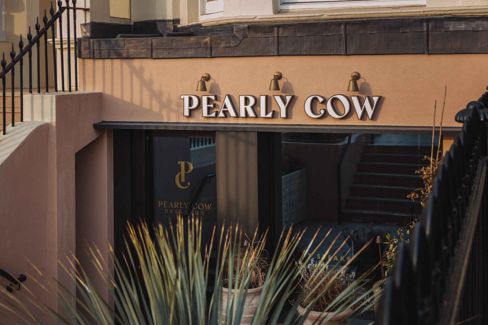 Pearly Cow & Terrace  