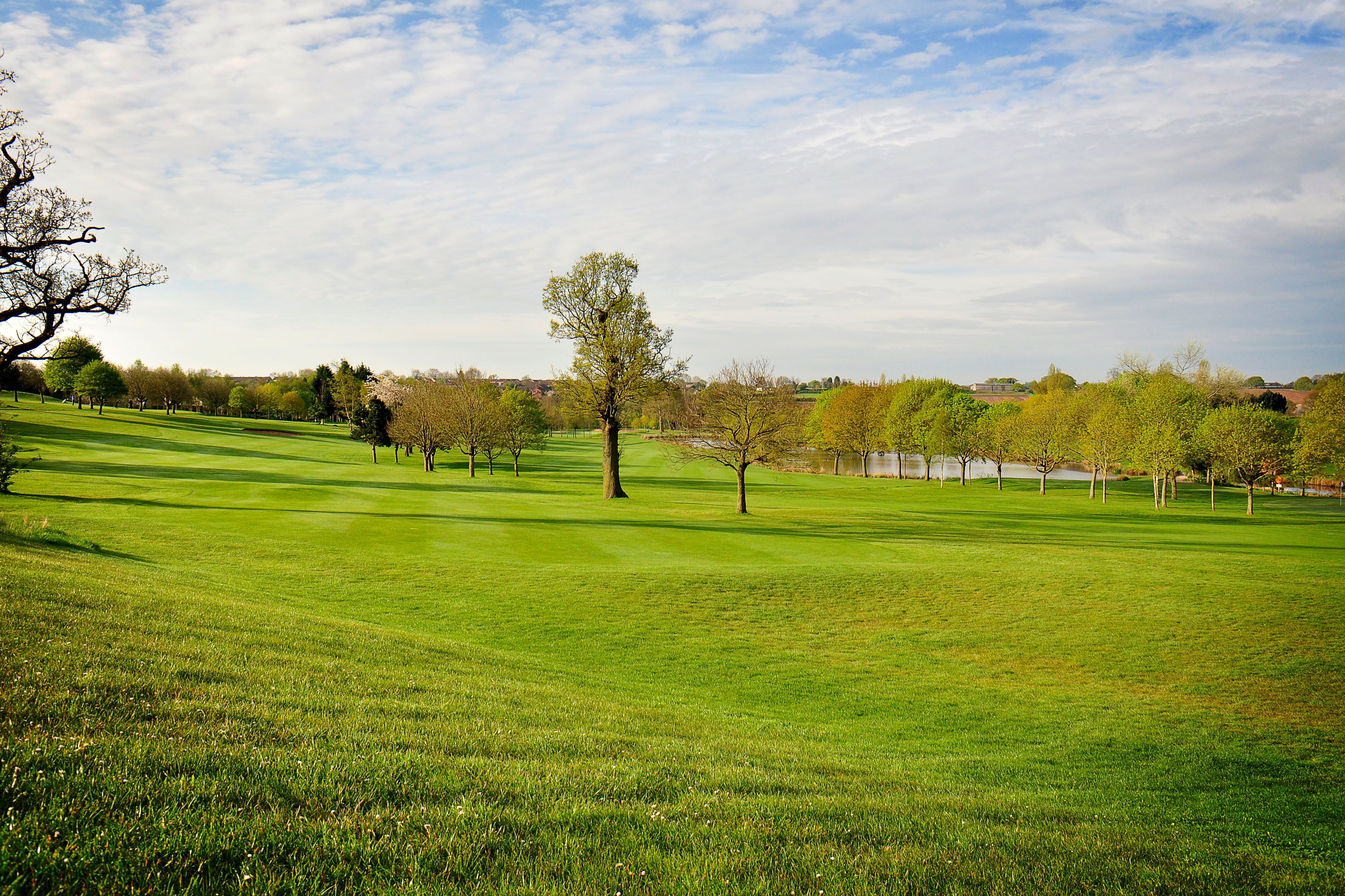 Best Western Windmill Village   Golf Course