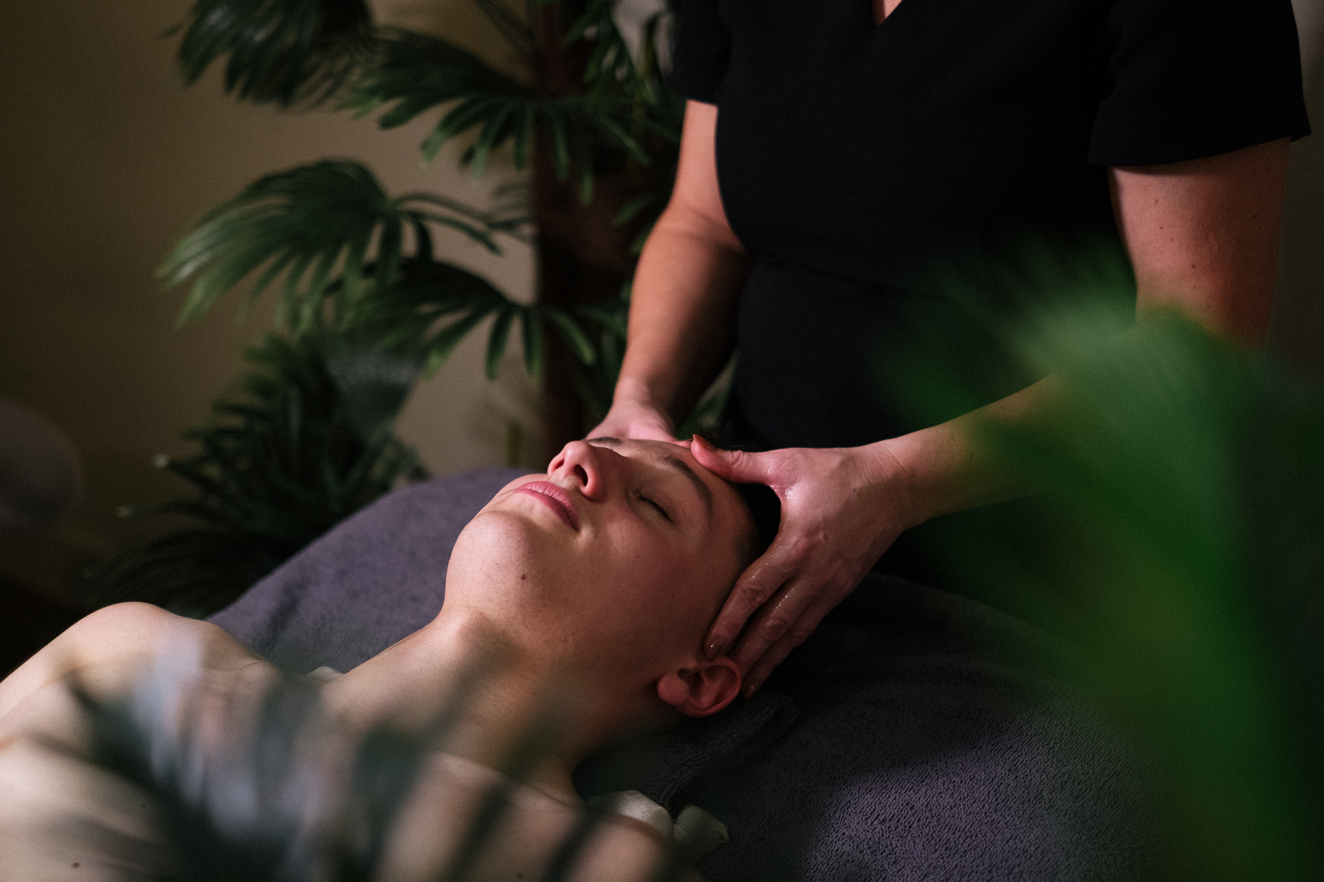 Hilton Snowdonia   Treatment