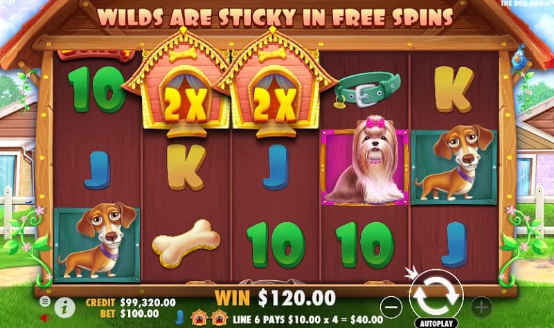 the-dog-house-voitto