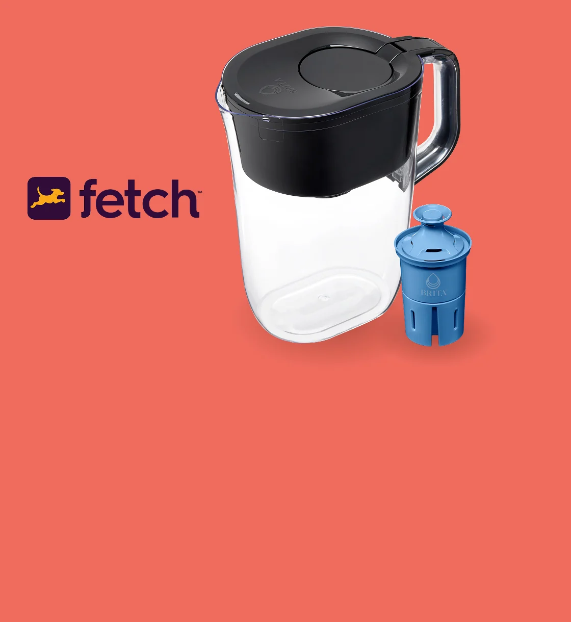Earn points on Fetch this summer