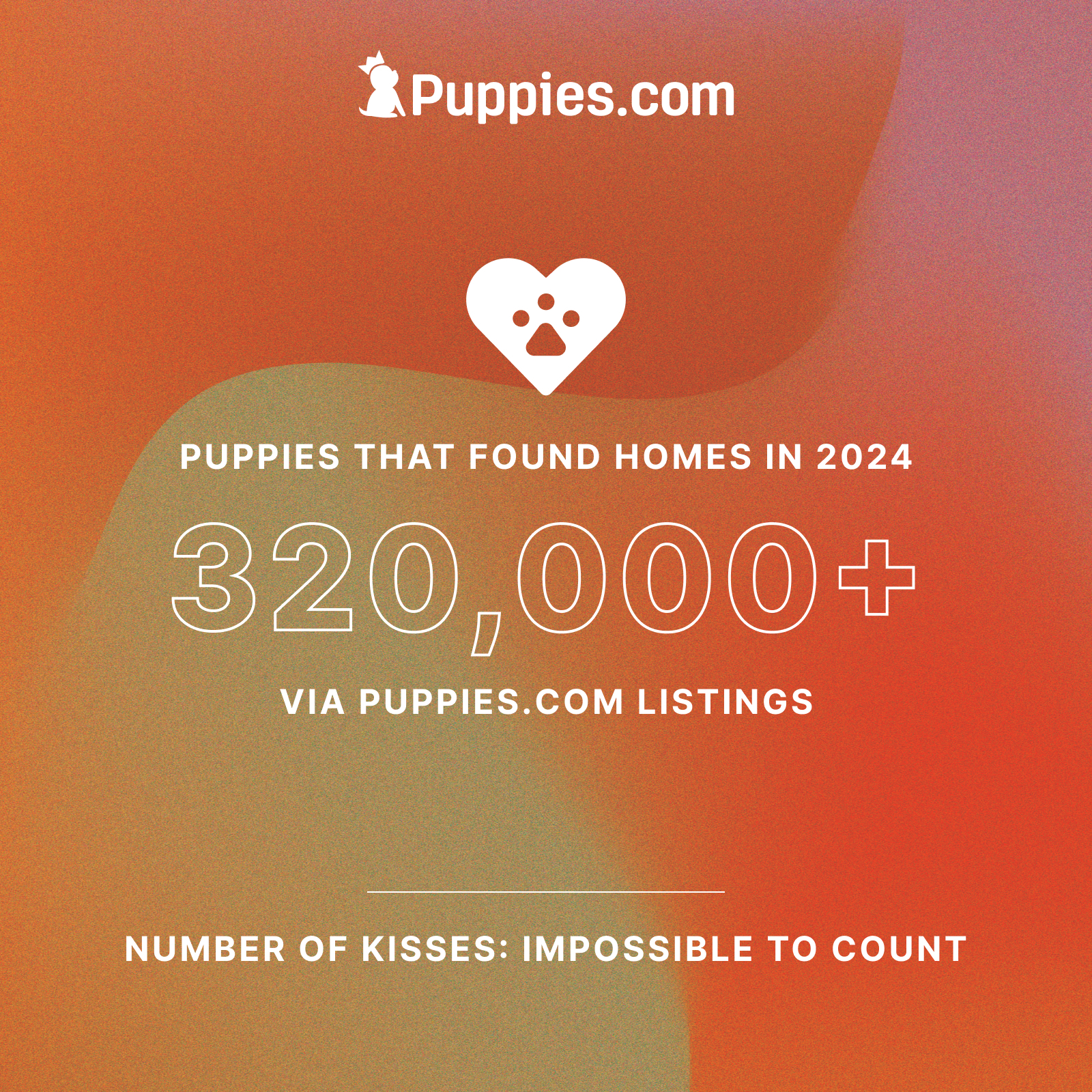 puppies infographic 3
