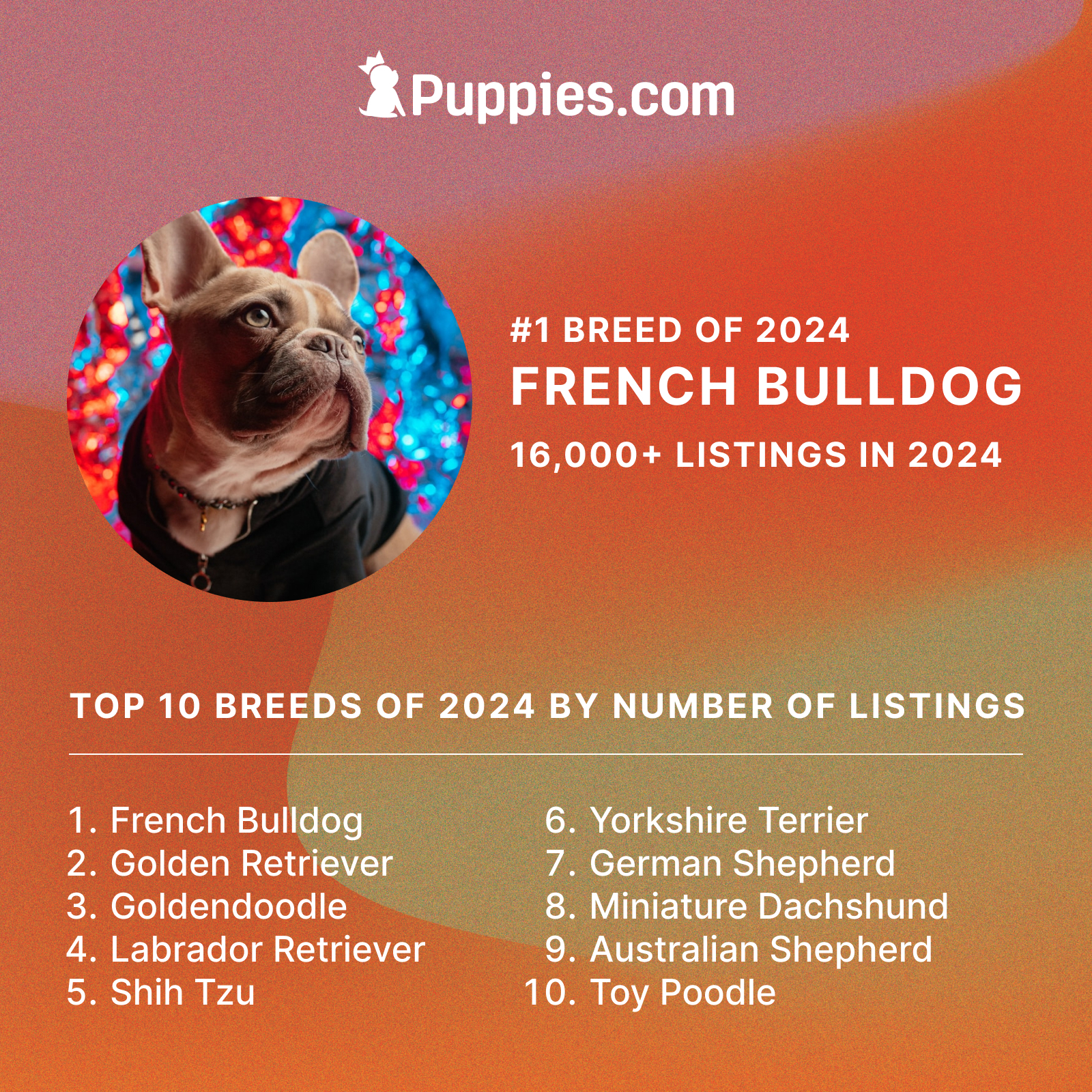 Top Puppies.com Breed Listing In 2024