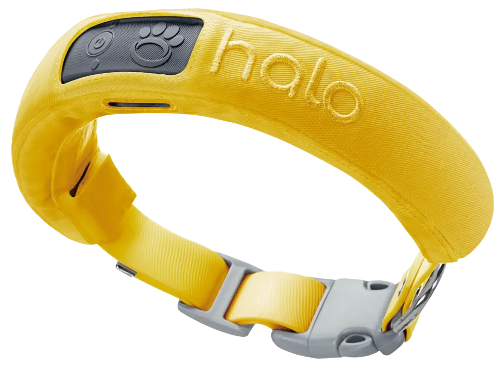 Halo Wireless Tracker GPS for Dogs
