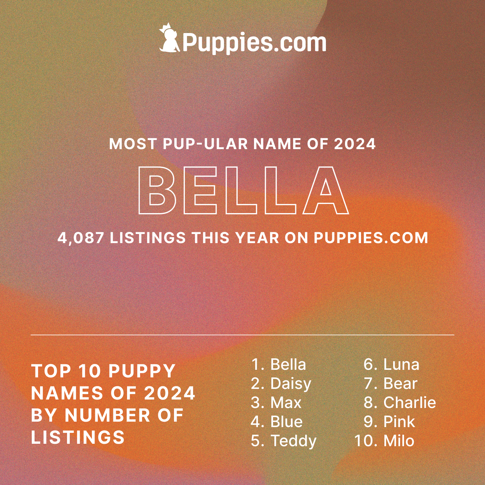puppies infographic names