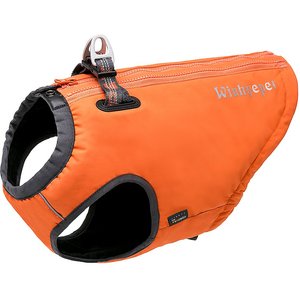 High visibility harness