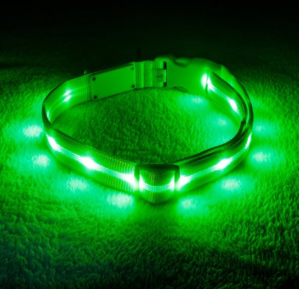 LED Dog Collar